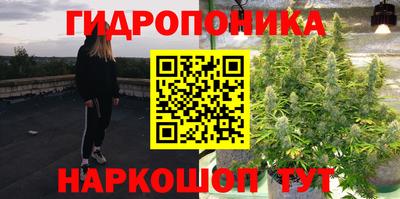 apvp Севастополь