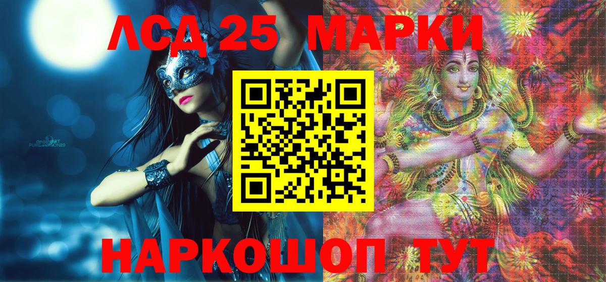 Псилоцибиновые грибы Торжок