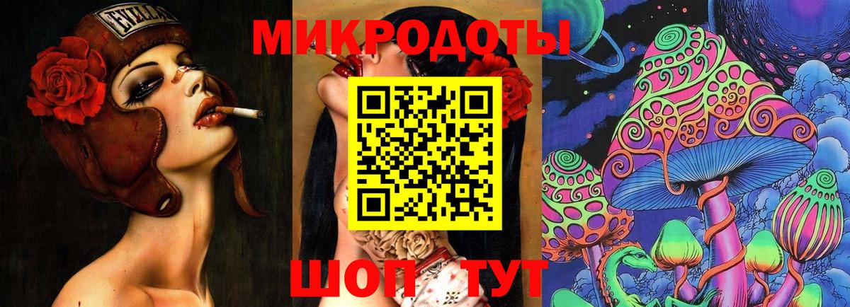 Псилоцибиновые грибы Cubensis Торжок